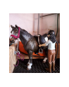 Schleich Horse Club washing area with Emily ' Luna, play figure - nr 15
