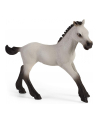 Schleich Horse Club fun with foals, toy figure - nr 9