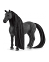 Schleich Horse Club Sofia's Beauties Criollo Definitivo mare, toy figure - nr 16