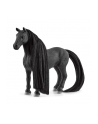 Schleich Horse Club Sofia's Beauties Criollo Definitivo mare, toy figure - nr 3