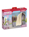 Schleich Horse Club Sofia's Beauties Leo ' Rocky Starter Set, play figure - nr 22