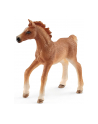 Schleich Horse Club foal with blanket, toy vehicle - nr 2