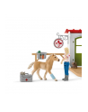 Schleich Farm World veterinary practice with pets, toy figure - nr 10