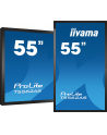 Iiyama Prolite T5562As-B1, 55'' (T5562Asb1) - nr 19