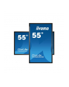 Iiyama Prolite T5562As-B1, 55'' (T5562Asb1) - nr 83