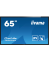 Iiyama Prolite T6562As-B1, 65'' (T6562Asb1) - nr 19