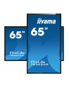 Iiyama Prolite T6562As-B1, 65'' (T6562Asb1) - nr 54