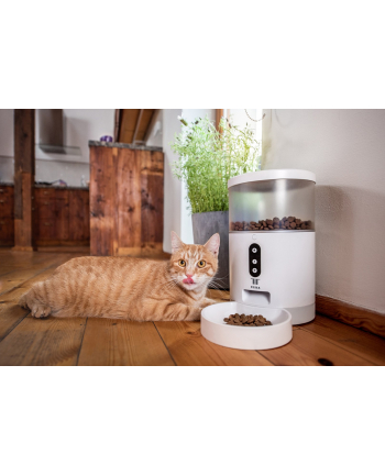 Tesla Dozownik Karmy Smart Pet Feeder Biało Przezroczysty