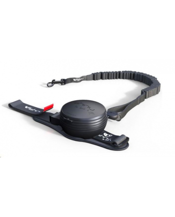 Lishinu Smycz Bungee Black Czarna L 13-40kg