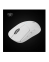 Logitech Emaga 910-005943 (S55134253) - nr 33