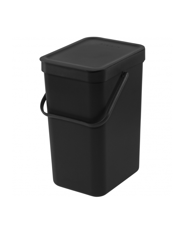 Brabantia Kosz Do Segregacji Sort & Go 12L Szary 10 98 05 (109805) główny