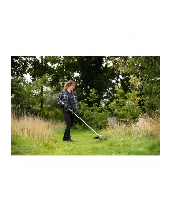 Bosch Advanced GrassCut 36V-33 06008C1K00