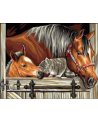 norimpex Malowanie po numerach Konie z kotem 40x50cm 1006803 - nr 1
