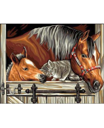 norimpex Malowanie po numerach Konie z kotem 40x50cm 1006803
