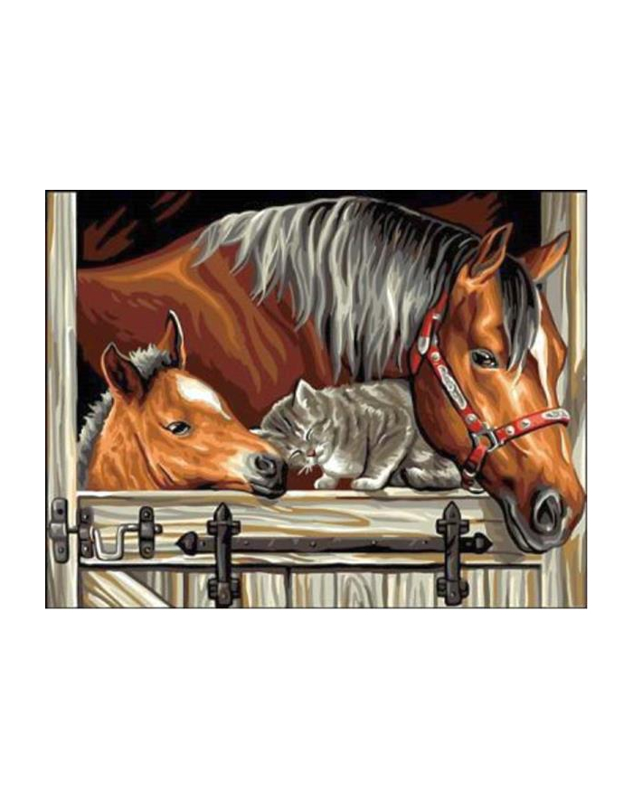 norimpex Malowanie po numerach Konie z kotem 40x50cm 1006803 główny