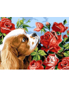 norimpex Diamentowa mozaika Pies z różami 30x40cm 1006959 - nr 1