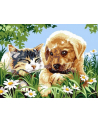 norimpex Malowanie po numerach Pies z kotem na łące 40x50cm 1006972 - nr 1