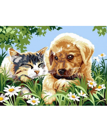norimpex Malowanie po numerach Pies z kotem na łące 40x50cm 1006972