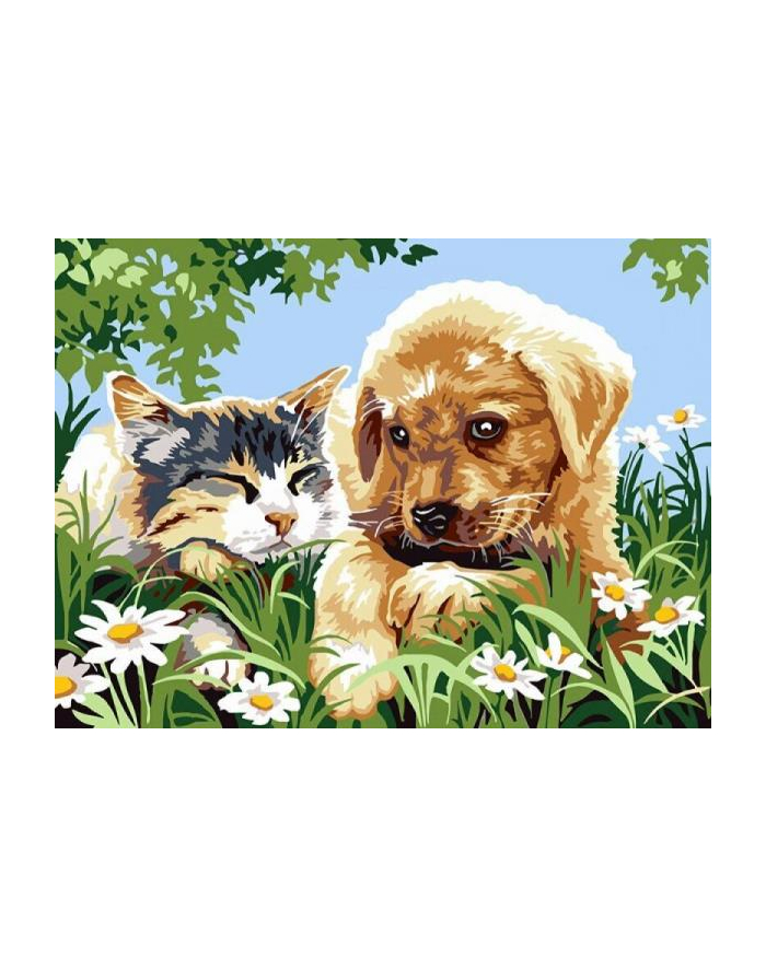 norimpex Malowanie po numerach Pies z kotem na łące 40x50cm 1006972 główny