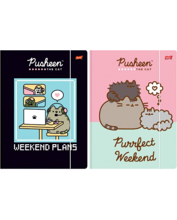 majewski Teczka z gumką A4 PUSHEEN  cena za 1 sztukę