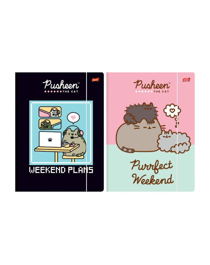 majewski Teczka z gumką A4 PUSHEEN  cena za 1 sztukę główny