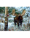 norimpex Malowanie po numerach Łoś w zimowym lesie 40x50cm 1005693 - nr 1