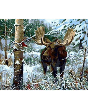 norimpex Malowanie po numerach Łoś w zimowym lesie 40x50cm 1005693