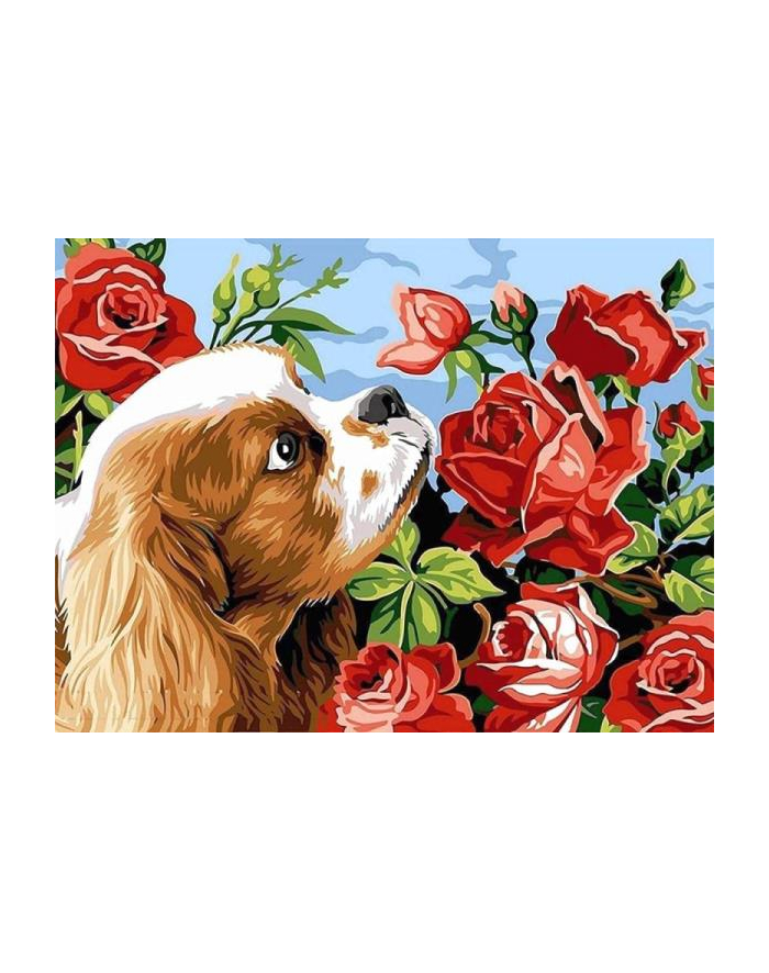 norimpex Malowanie po numerach Pies z różami 40x50cm 1006970 główny