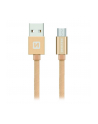 Swissten Kabel USB - Micro USB 1,2m Złoty (71522204) - nr 1