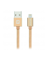 Swissten Kabel USB - Lightning 2m Złoty (71523304) - nr 1