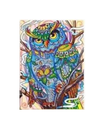 norimpex Diamentowa mozaika Mandala 7D Sowa kolorowa 40x30cm 1006601