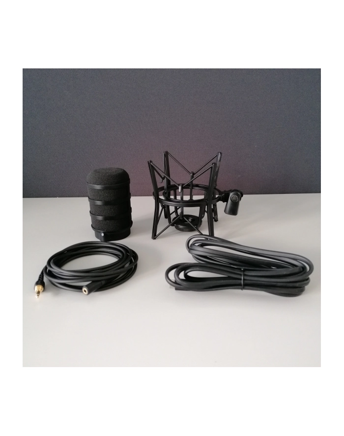 ROD-E XDM-100 USB-C Dynamiczny mikrofon z zaawansowanym DSP dla streamerów i graczy główny