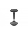 DIGITUS Standing Stool height-adjustable Kolor: CZARNY - nr 31