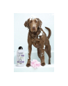 wahl Skoncentrowany szampon dla psów 3999-7010 Four-In-One - nr 2