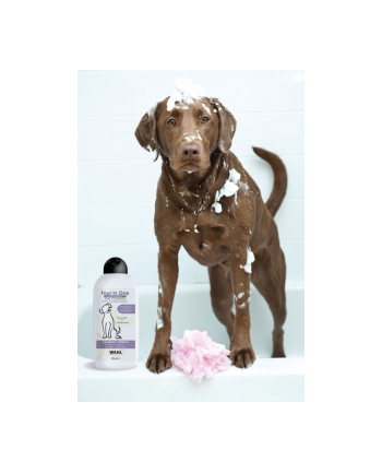 wahl Skoncentrowany szampon dla psów 3999-7010 Four-In-One