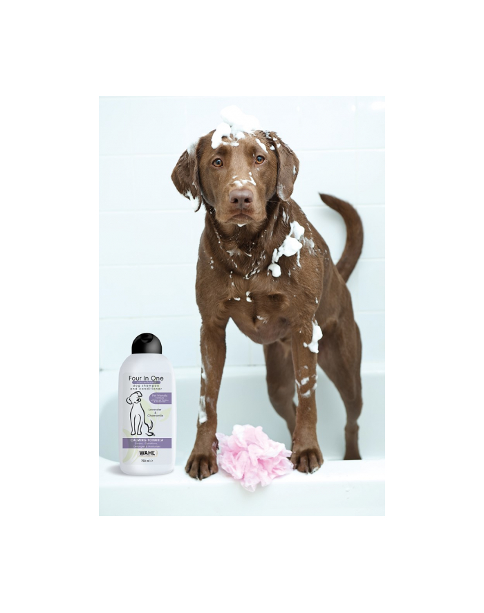 wahl Skoncentrowany szampon dla psów 3999-7010 Four-In-One główny
