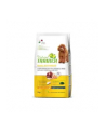 Trainer Natural Adult Mini Prosciutto 2x2kg - nr 2