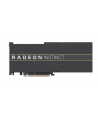 Advanced Micro Devices AMD RADEON INSTINCT™ MI50 32GB Server ACCELERATOR Bulk - nr 1