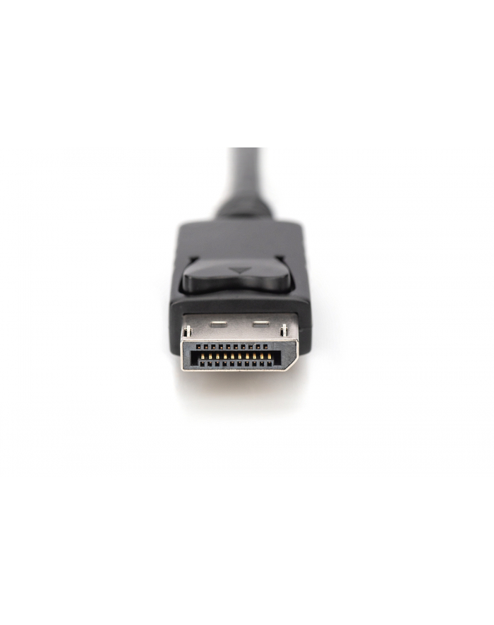 DIGITUS HDMI to DP adapter cable 2m 4K/30Hz external Power via USB - A główny