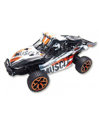 AMEWI Sand Buggy Extreme D5 1:18 4WD RTR 8+ 22220
