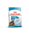 Royal Canin SHN Maxi Starter M'B 4kg - nr 1