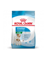 Royal Canin SHN Mini Starter M'B 4kg - nr 1