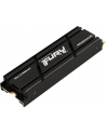 kingston Dysk SSD FURY Renegade 2TB PCI-e 4.0 NVMe 7300/7000 - nr 17