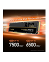 lexar Dysk SSD NM800 PRO 1TB NVMe M.2 2280 7500/6300MB/s - nr 17
