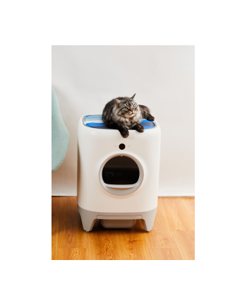 Petkit Chłodząca Mata Dla Kota Cooling Cat Pad