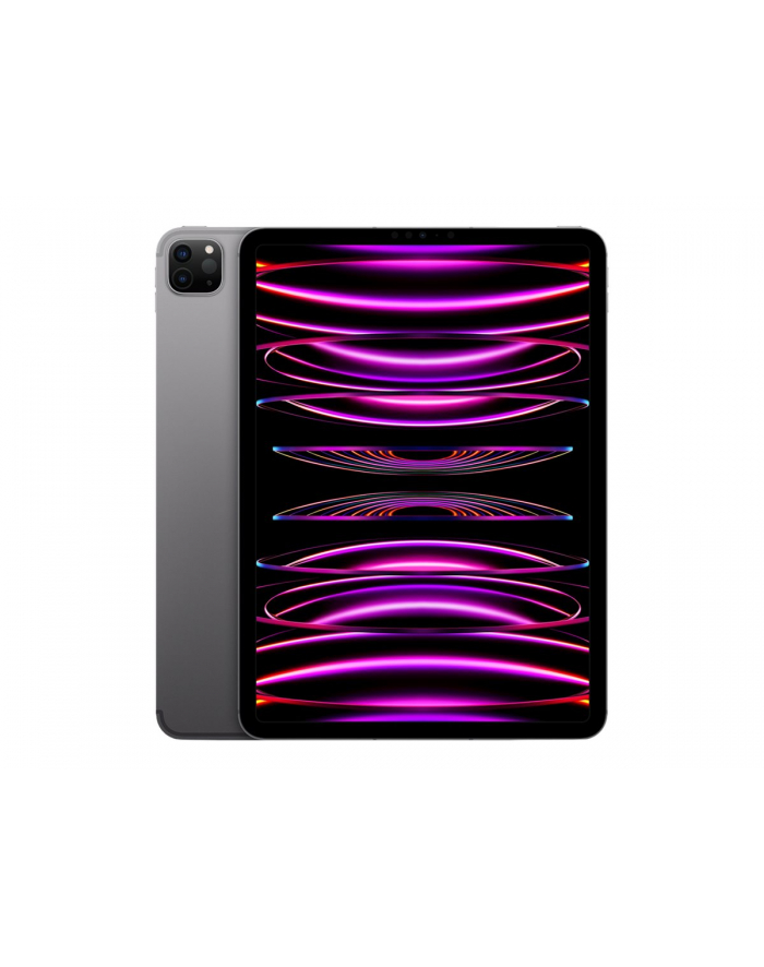 Apple iPad Pro 11'' Wi-Fi + Cellular 1TB - Space Gray 4th Gen główny