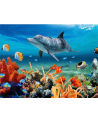 ju-piter Diamentowa mozaika Delfin na rafie koralowej 60765 - nr 1