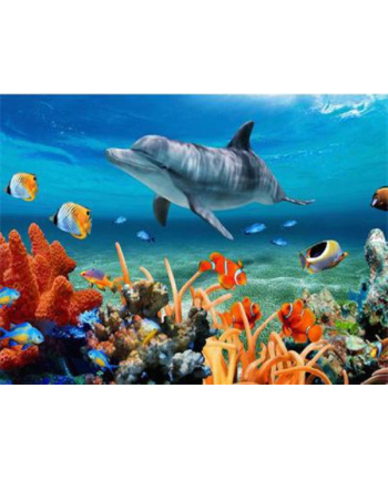 ju-piter Diamentowa mozaika Delfin na rafie koralowej 60765