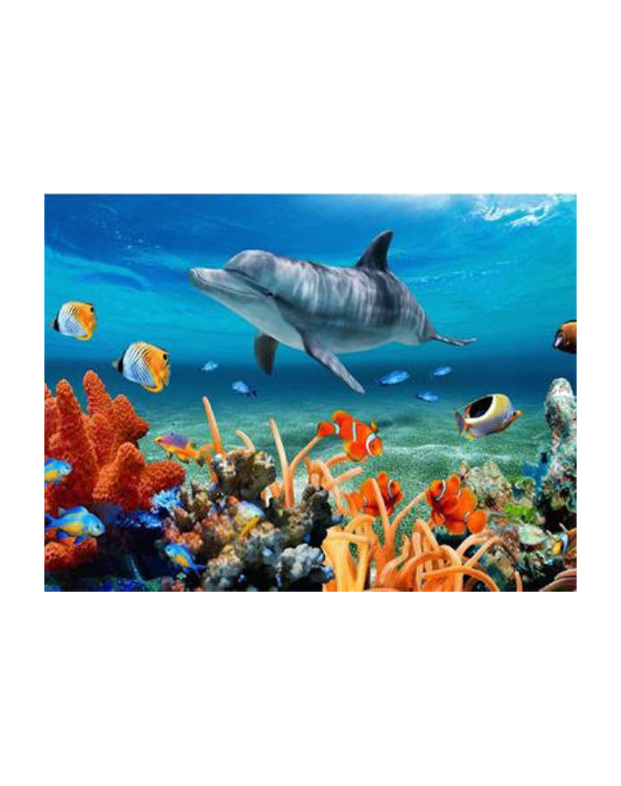 ju-piter Diamentowa mozaika Delfin na rafie koralowej 60765 główny