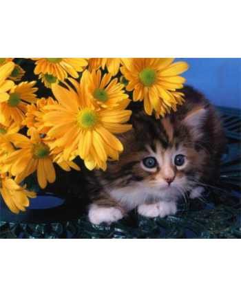 ju-piter Diamentowa mozaika Kot chowający się pod kwiatami 60396